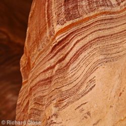 Red Layers