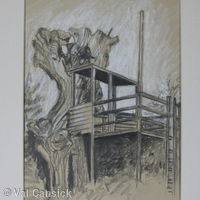 The Tree House