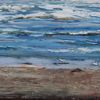 Gulls on Devon Coast