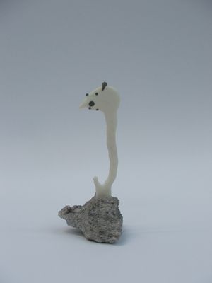 Porcelain, volcanic rock 