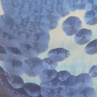 Crystaline Glaze