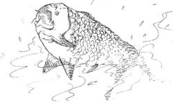 Benson the carp