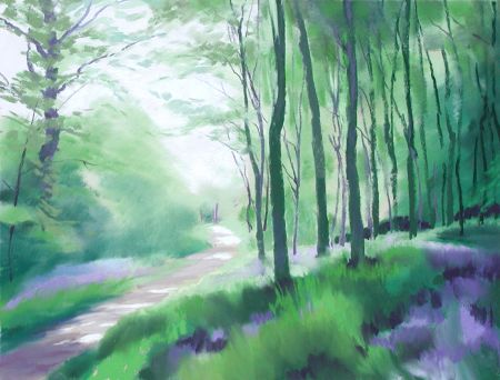 459 Woodland - Spring 3 - Gillfield Woods, Totley