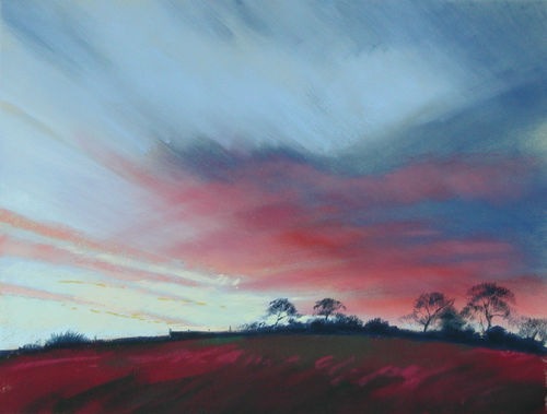461 Evening Sky 2