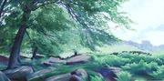 102 Beech Wood - Stanage Edge