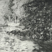 Light on the river