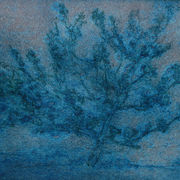Apple tree