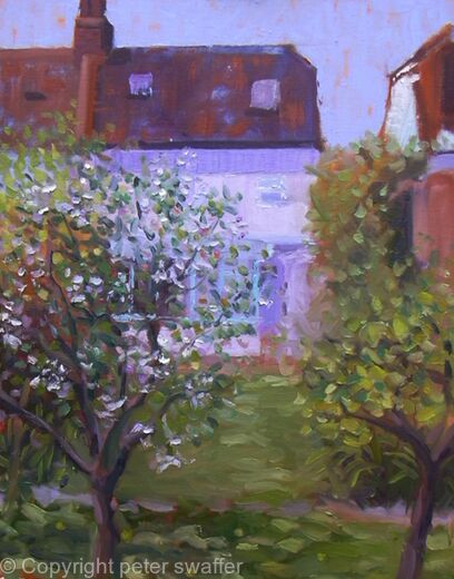 apple and pear blossom