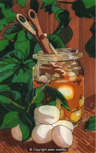 pickled eggs