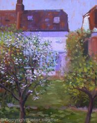 apple and pear blossom
