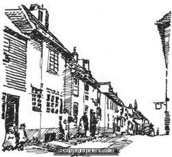edwardian rye