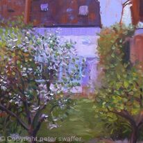 apple and pear blossom