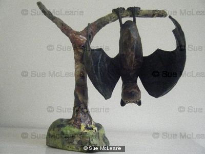 'Charlie' (Fruit Bat on Branch)