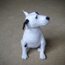 Bull Terrier Pup
