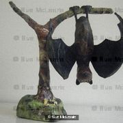 'Charlie' (Fruit Bat on Branch)