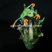 Tree Frog & Bug