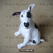 Bull Terrier Pup *SOLD*