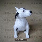 Bull Terrier Pup *SOLD*