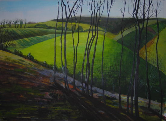 Early sun early Spring Devils Dyke
