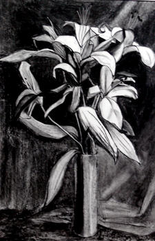 l1020941