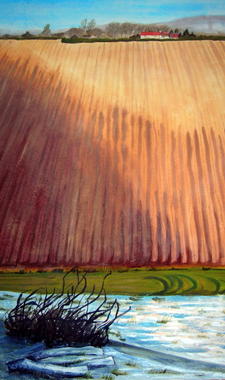 Sun, ploughed field, and frozen grass