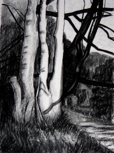 Reaching