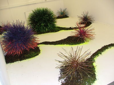 garden of toxic delight