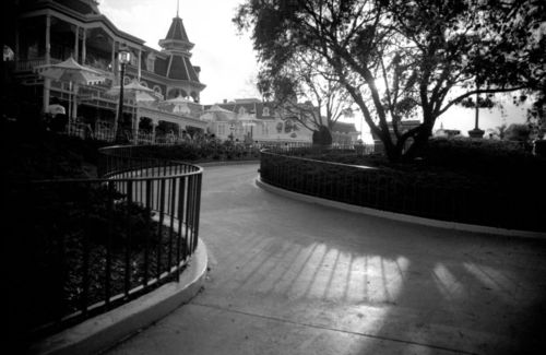 Magic Kingdom
