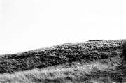 Hillside 1