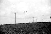 Poles