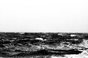 Sea 5