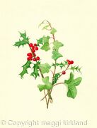 Holly  and Ivy