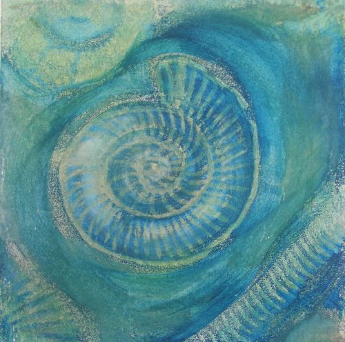 Ammonite Series