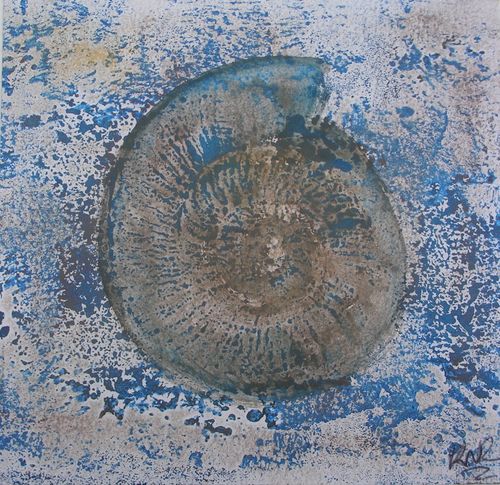 Ammonite Series
