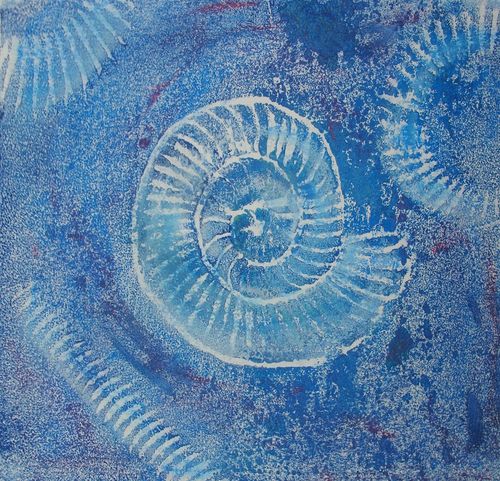 Ammonite Series