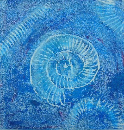 Ammonite Series