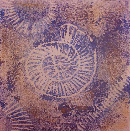 Ammonite Series