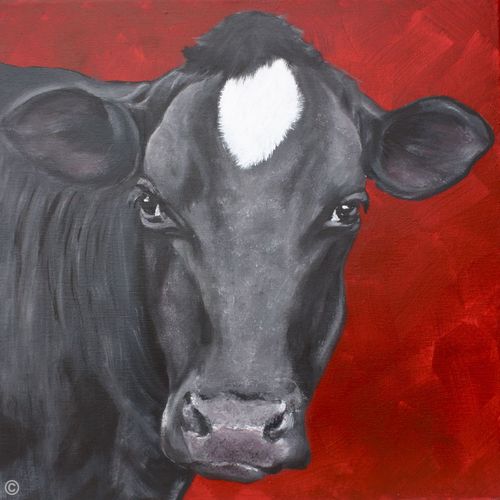 Cow 29611