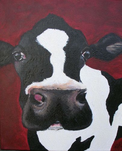Silly Moo