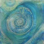 Ammonite Series