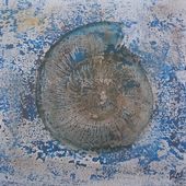 Ammonite Series