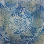 Ammonite Series