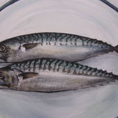 Mackerel on a plate