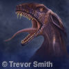 Dragon_Dog