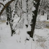 img_0811
