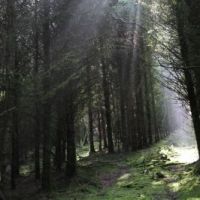 img_2508