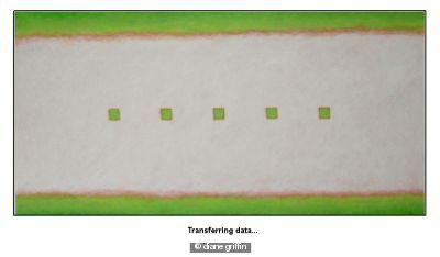 Transferring data...