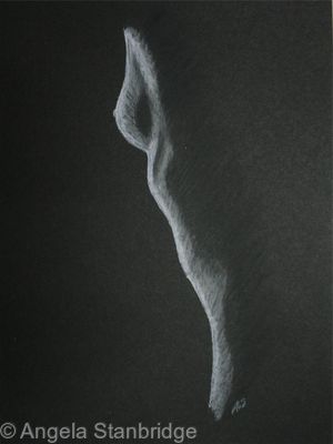 Female Nude 17 B/W