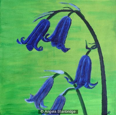 Bluebells