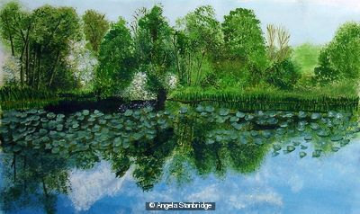 Green Reflections